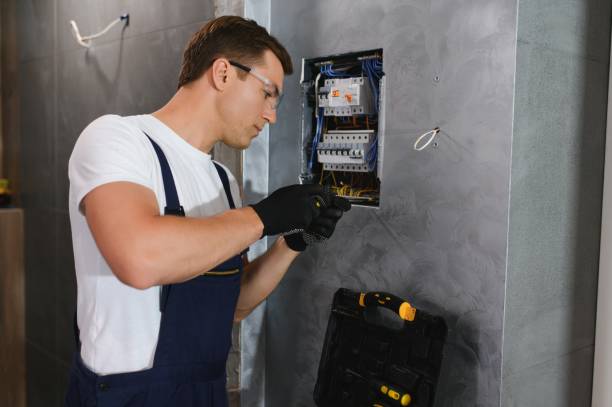 Best Electric Panel Repair  in Alice, TX